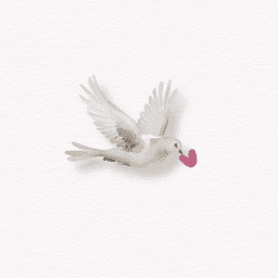 White dove